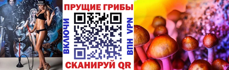 Псилоцибиновые грибы Psilocybe сколько стоит Азов